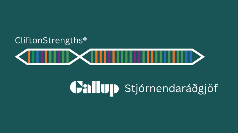 CliftonStrengths_heimasíða