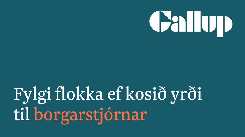FYLGI_BORGARSTJORNAR_banner