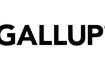 Gallup logo blátt 800x400