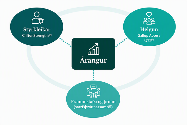Helgun_Styrkleikar_Samtöl