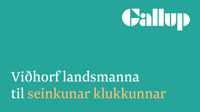 Seinkun_klukkunnar_banner