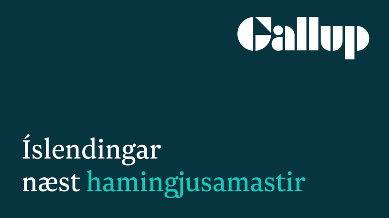 islendingar_hamingja_banner