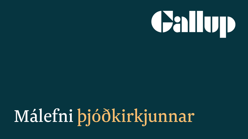 málefni_þjóðkirkjunnar_banner